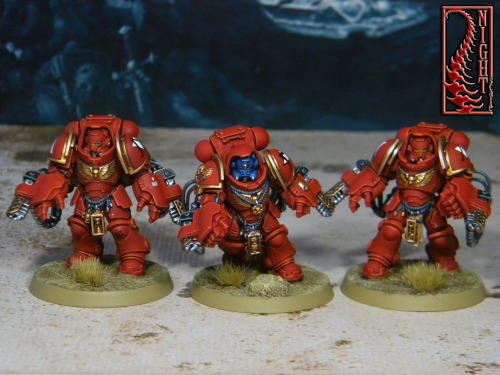  Genesis Primaris Aggressors.