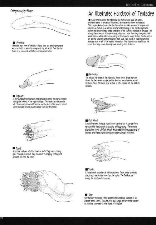 nephlytotl:gateaugrimoire:Tentacles Taxonomy by UnknownThese look like fun for a sexy lady :P