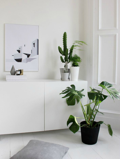 Hege in Francehttp://www.hegeinfrance.com