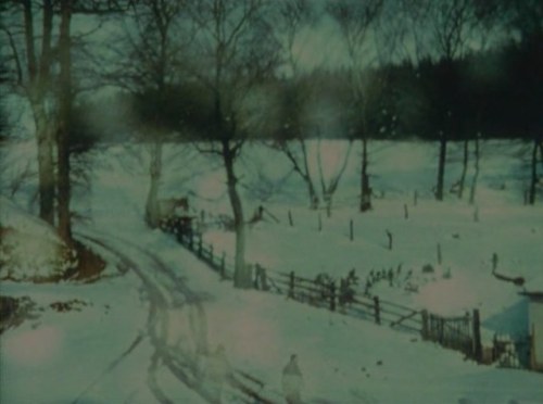 nobrashfestivity:Kurt Kren, 31/75 Asyl, 1975A meadow, a lake, the silhouette of a hill, trees. 21 da