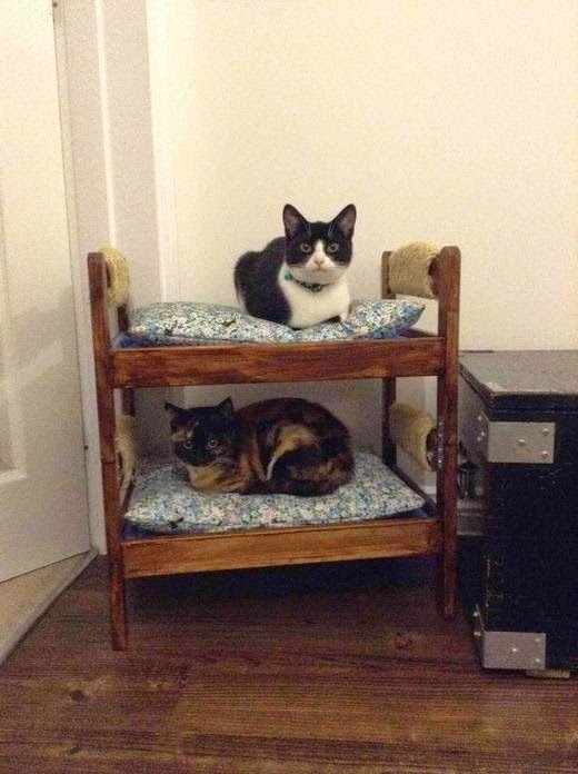 copperbadge: geekerypeekery:  bunny-butch:  markv5:   Котовьи общежития  Котовьи общежития   “Kitty dormitory”   @copperbadge   Stackable cats for all you urban-dwellers!  Russian nesting cats or…. CATRYOSHKAS 
