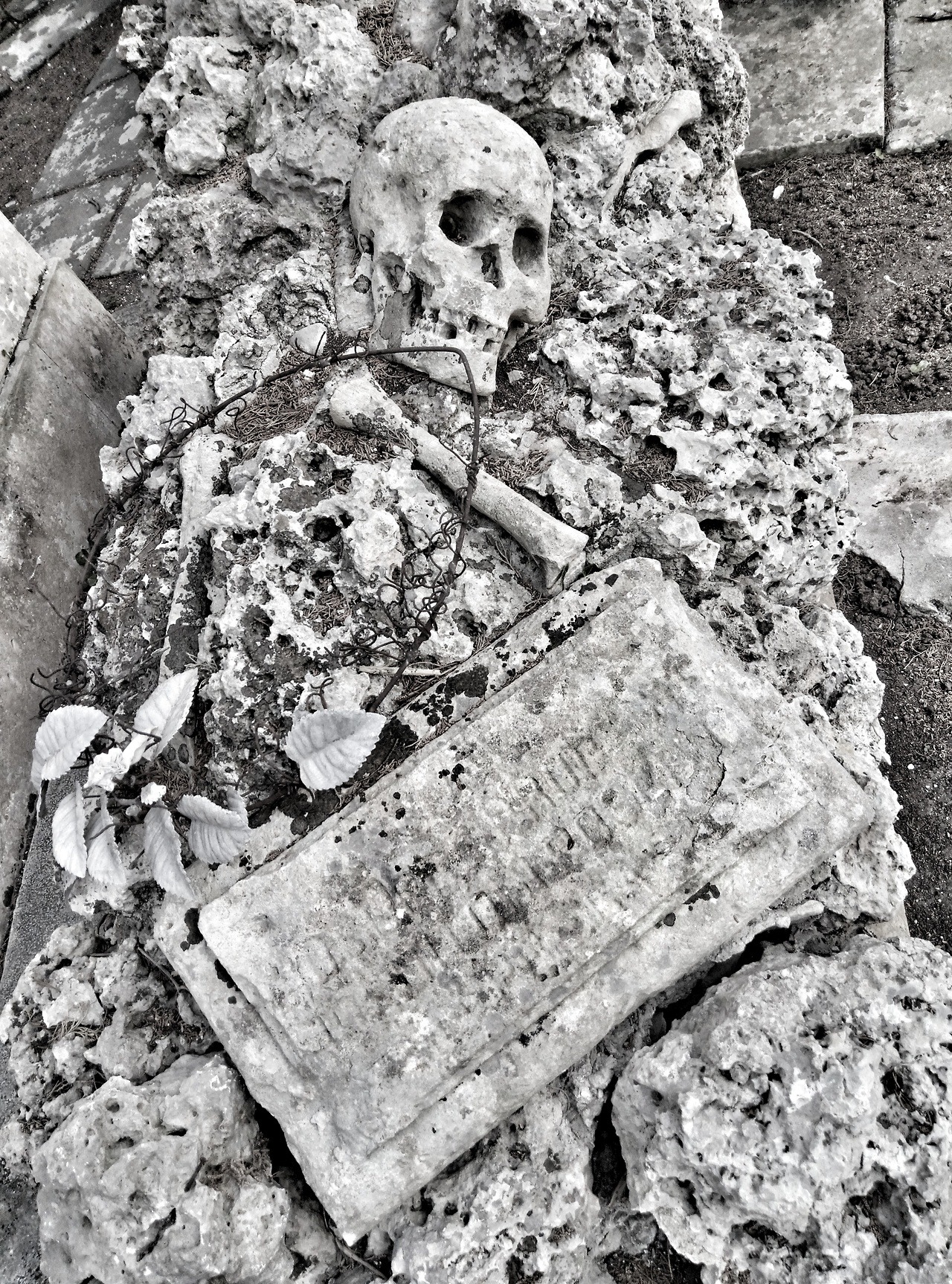 SIGHT OF THE TOMBS