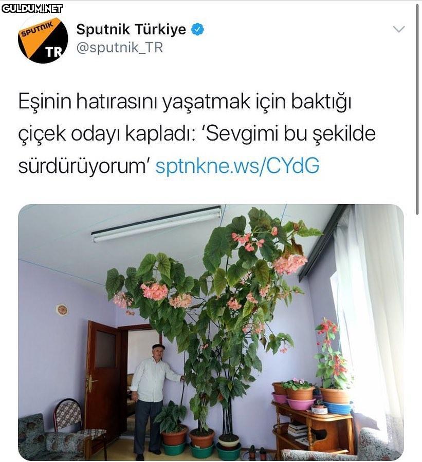 çok çok iyi olay be...