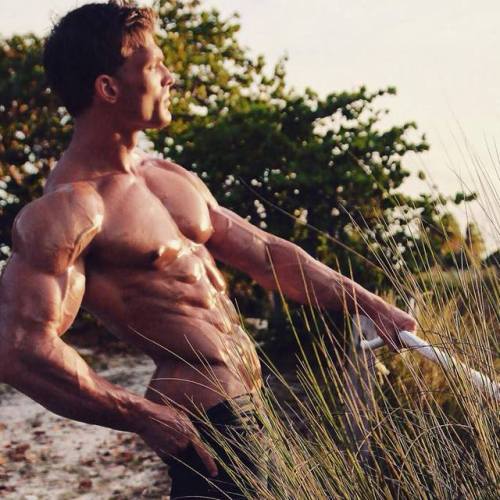 Robin Balogh&rsquo;s oiled up body glistens in the light at sunset