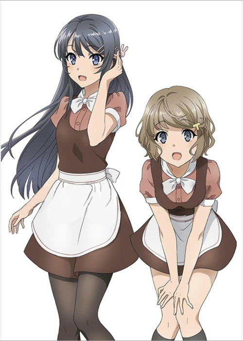 Seishun Buta Yarou - Blu Ray BOX (sin SAMPLE)
