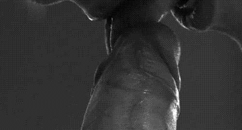 sexyhotreblogs:   Free Cam Shows * Sign Up Now  