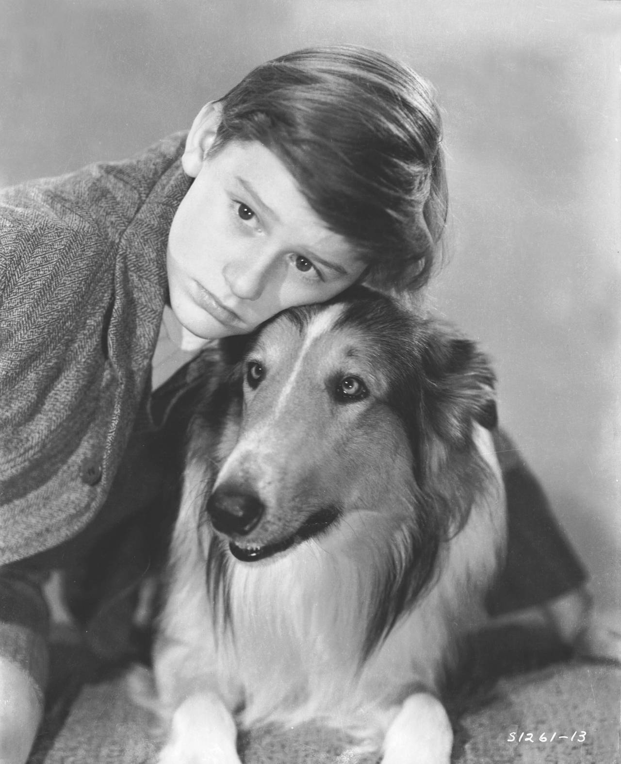 Courage of Lassie (1946) - Turner Classic Movies