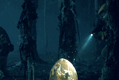 absolutiion:  Stranger Things (2016)
