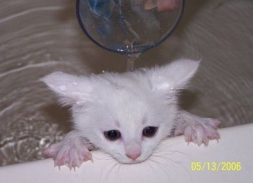 tumbwr:egg-buddy:tumbwr:tumbwr:xtracts you. fucking extracts yousomething beautiful is happeninghi little gatito. do u need help 