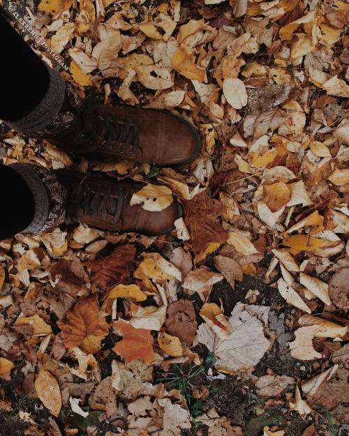 this-harvestmoon: Enjoying the fall foliage by hiking as often as I canMy instagram is allll falllll
