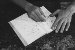 gallowhill: Ann Hamilton’s books used in Indigo Blue and Tropos performances/installations Indigo Blue, 1991 The figure in performance sat reading the books back to front, clearing each page, by a gesture of wetting a Pink Pearl eraser with saliva,