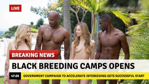 hornygirlshannon: reciprocationfreesex: interracial-mainstream:Black breeding camps Your tax dollars