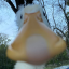 ducklingspace