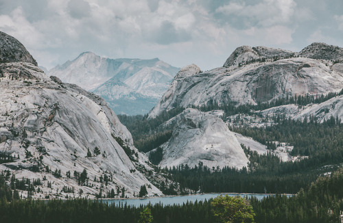 juliamstarr: Tioga Pass, CA 2013 Instagram