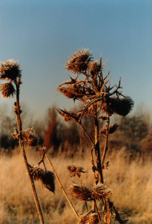 andreas-nolte:Rur (1983) NoltAfoto  Bildarchiv