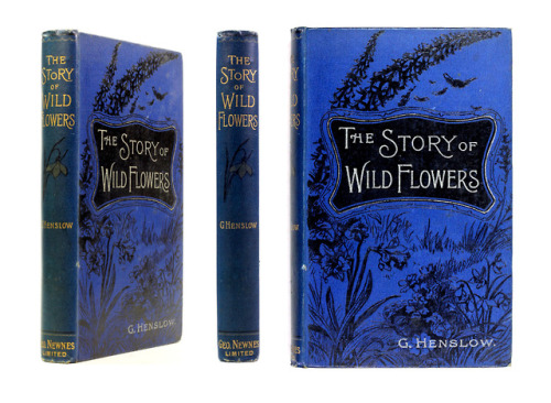 michaelmoonsbookshop:The Story of Wild Flowers by Rev Professor G HenslowLondon George Newnes 1901[S