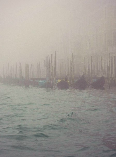 vintagepales:Venice in mist