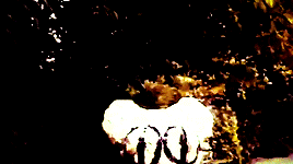Whats The Radiohead Angry Bear (Modified Bear) All About?