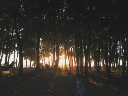 black-light-constellations:  Golden Gardens- Seattle
