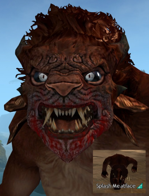 “Guild Wars 2: End of Dragons™ is coming soon, and you can start planning your beauty strategy now!“