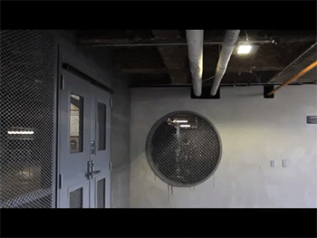 Swallows use motion detectors for opening doors.