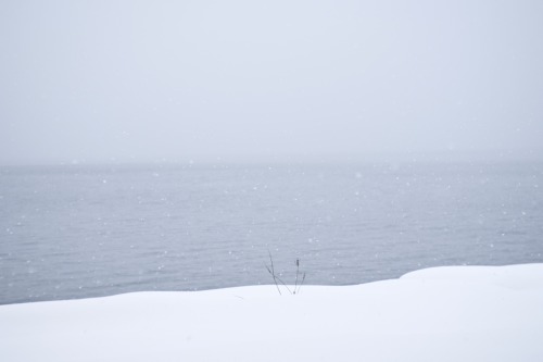 雪の田沢湖。