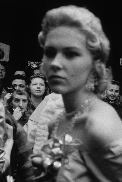Robert Frank