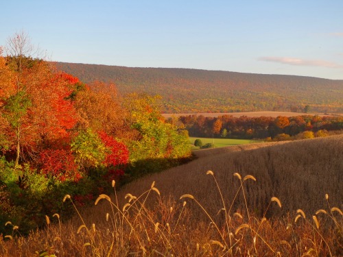 Okay, so I leave eastern PA for about 3 days and when I get back it’s, like, ‘We don’t care. This is