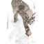 lynxcanadensis