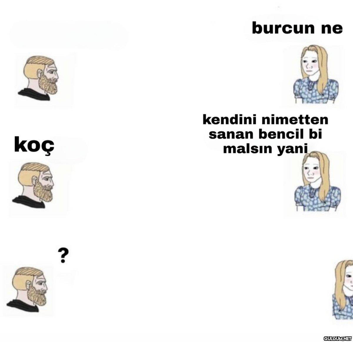 339-) Hiçbir burcu...