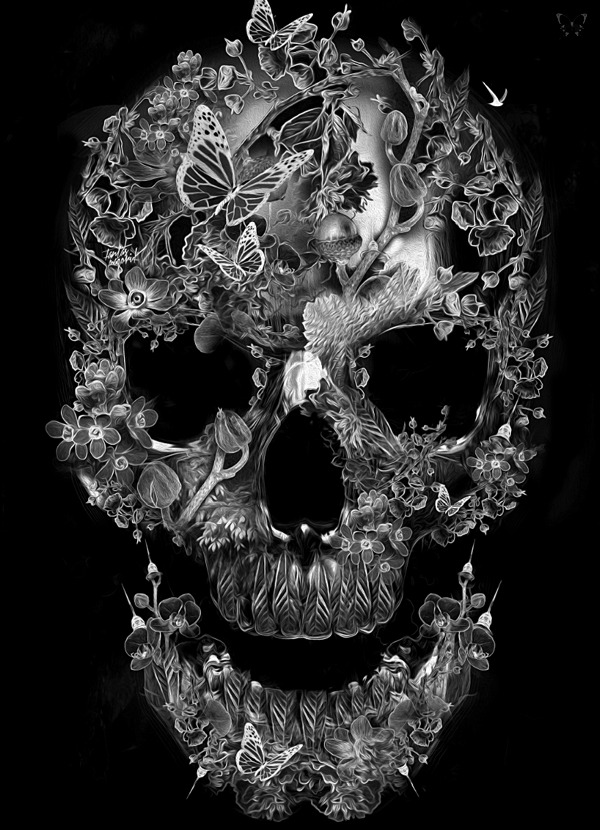 whitesoulblackheart:  Skull Forest ® Obery Nicolas (Please leave credit … Ƹ̴Ӂ̴Ʒ)