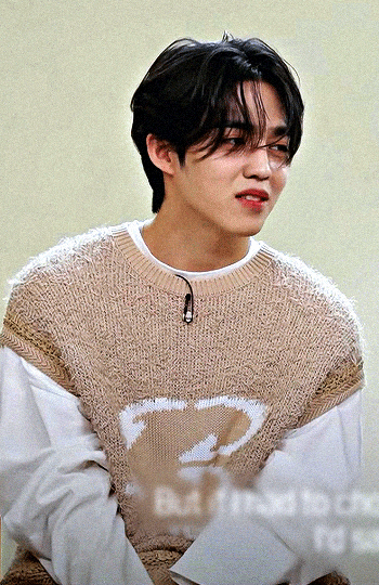 S.COUPSW Korea - 17 Questions With Seventeen