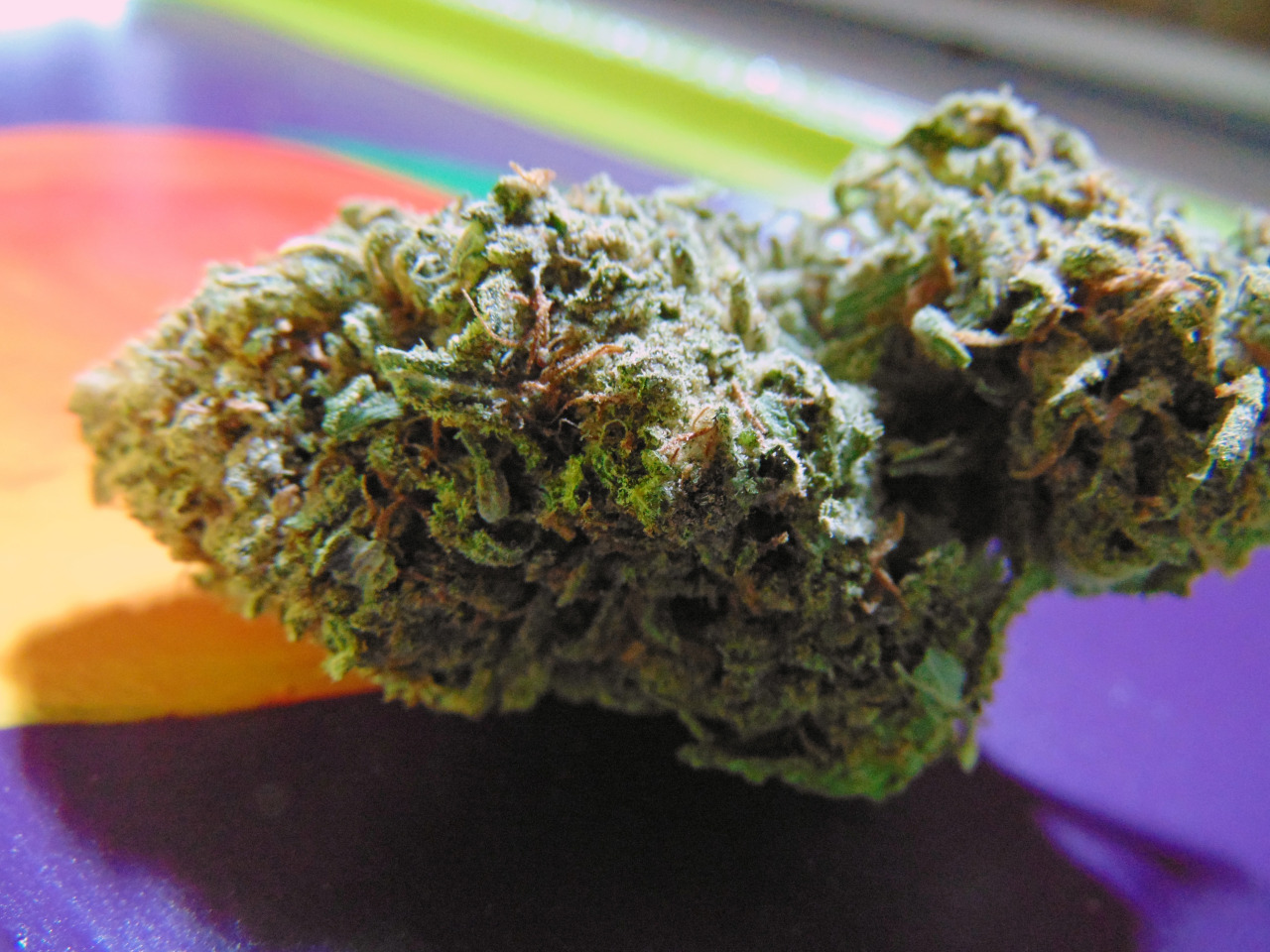 smoketogethighcustheworldissolow:  Just peachy 🍑👌🍑 