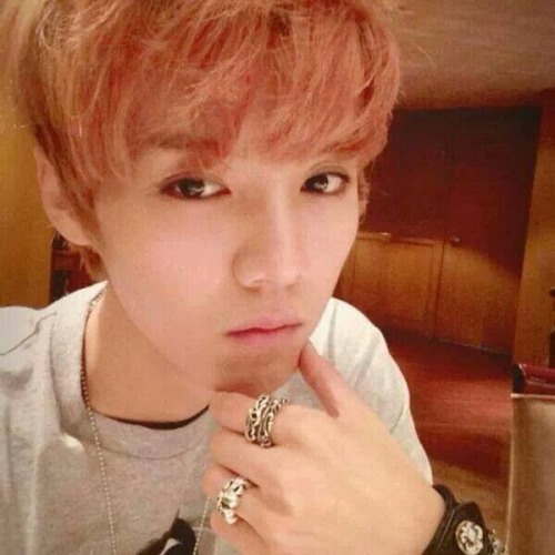 weareone-blog: 131122 Luhan Weibo profile picture update