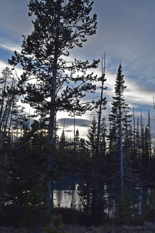 A Sylvan Sundown: (c) riverwindphotography