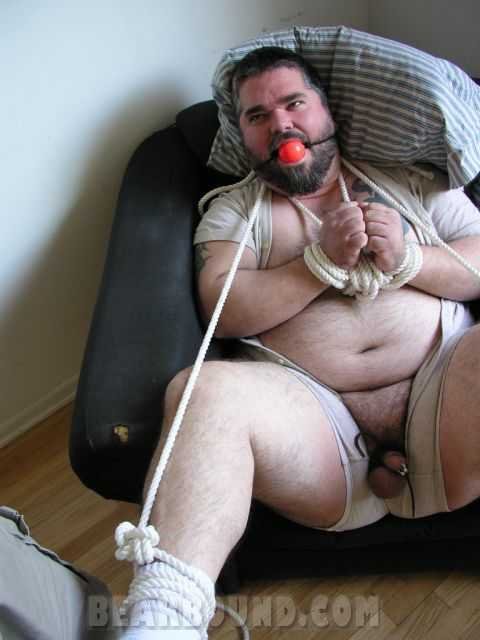 billybear:  Metelbear bound and gagged