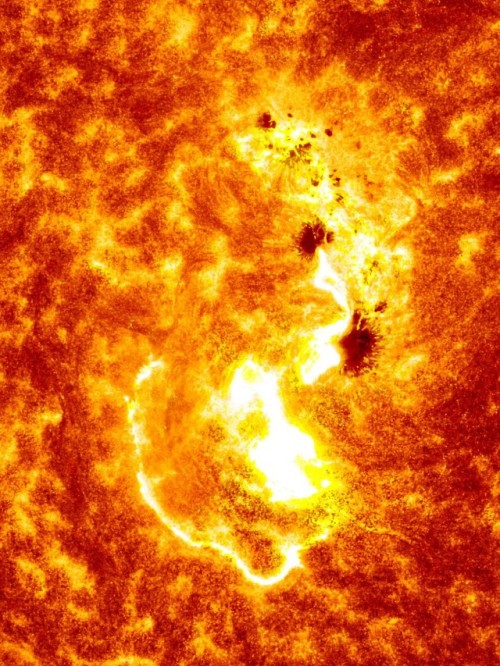 maksg:     Sun Unleashes 1st Major Solar Flare of 2014  A massive solar flare erupted from the sun o