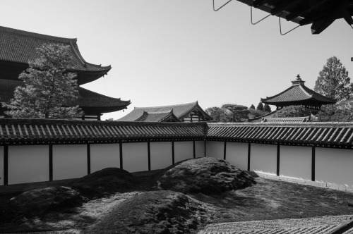  Tofukuji .Kyoto (2020)東福寺 京都市東山区