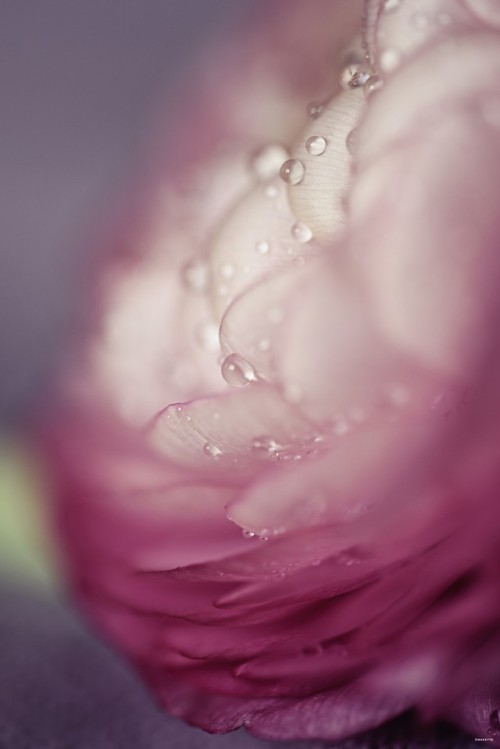 The Mazette: And Then Summer …