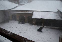 birchshutter:  From Orthodox Christian Network’s Facebook page: Snowball fighting monks…on Mt. Athos!   James writes: “After service and breakfast the elder monks returned to  their rooms. It still was the start of the last day of the year. The