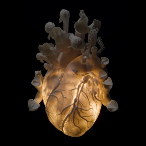 Kate MacDowell, Venus, 2006Hand built porcelain, cone 6 glazes, acrylic gel, halogen light, wiring #hannibal#nbc hannibal #art that reminds me of hannibal #Kate MacDowell#sculpture#porcelain#hearts#human hearts#contemporary art #could be part of some murder art #queue #posts I created