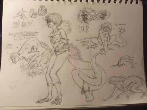 This Is The False Witch Or Star-end Witch, This Particular One In The First Picture Looking Angry Goes