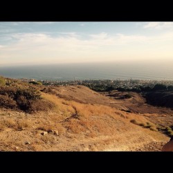 Had An Awesome Walk/Hike With Shane And Sebastian. As Much As I Complain I Truly