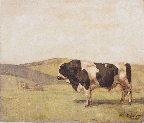 The bull, 1878, Ferdinand HodlerMedium: oil,canvashttps://www.wikiart.org/en/ferdinand-hodler/the-bu