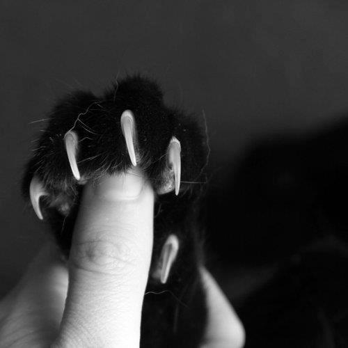 owningafairy:  growing up together 