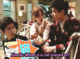 elaysium:  Brain teasers - 2 Yixing - 0 (part 2) 