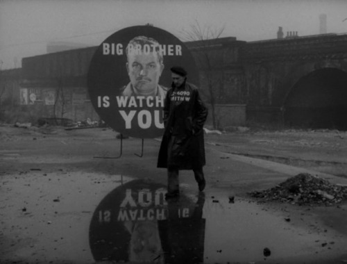 Nineteen Eighty-Four | TV | Rudolph Cartier | 1954