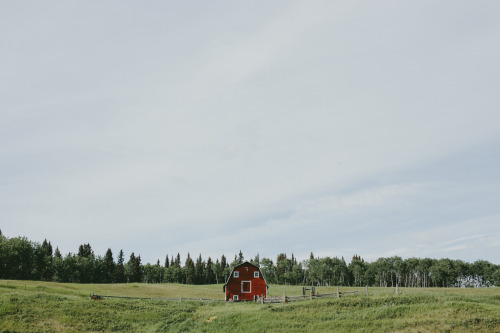 Driving through the prairies with chrisamat