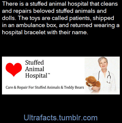 ultrafacts:  daddysprincessmay:  pacifairy:  ultrafacts:  (Fact Source) Follow Ultrafacts