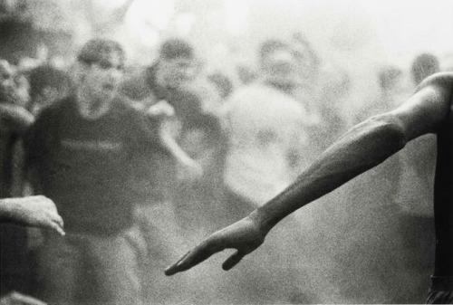 joeinct:    Mosh Pit, Photo by Janine Gordon, 1998  